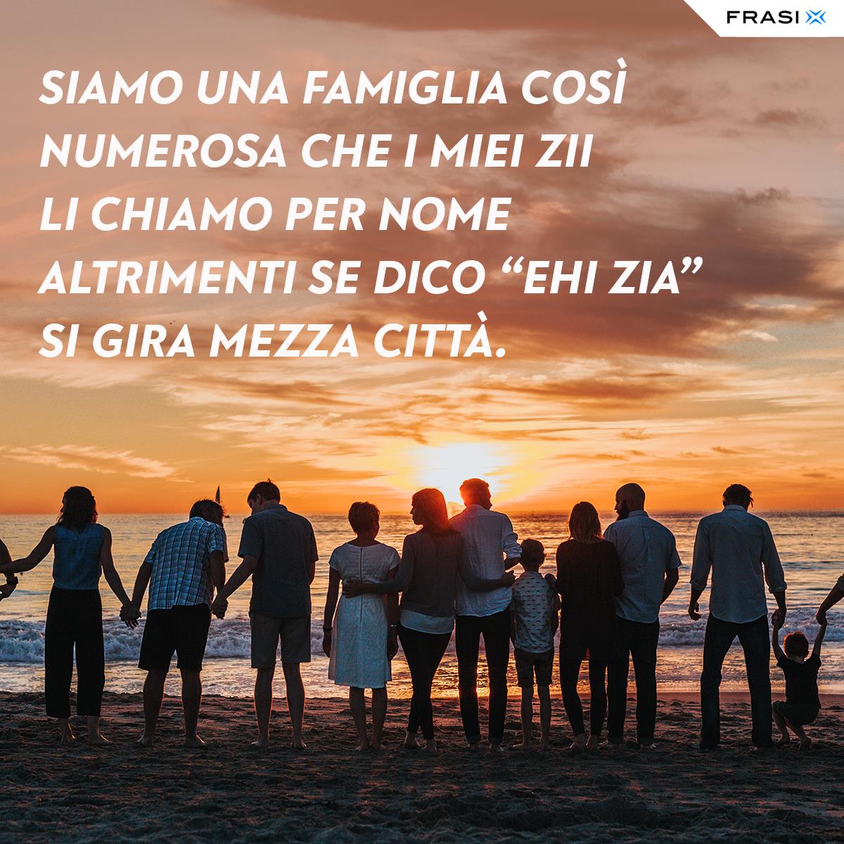 Frasi sulle zie le più belle, vere e divertenti da dedicare Frasi sulle zie le più belle, vere e divertenti da dedicare