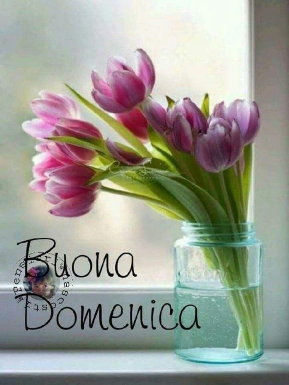 Immagini belle di buona domenica