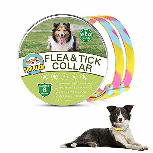 Collare Antiparassitario per Cani, Collare Antipulci Cane, Collare Antipulci e Zecche per Cani, Collare Regolabile Impermeabile, 8 Mesi di Protezione per Tutti i Tipi di Cani, 62 cm Taglia Unica