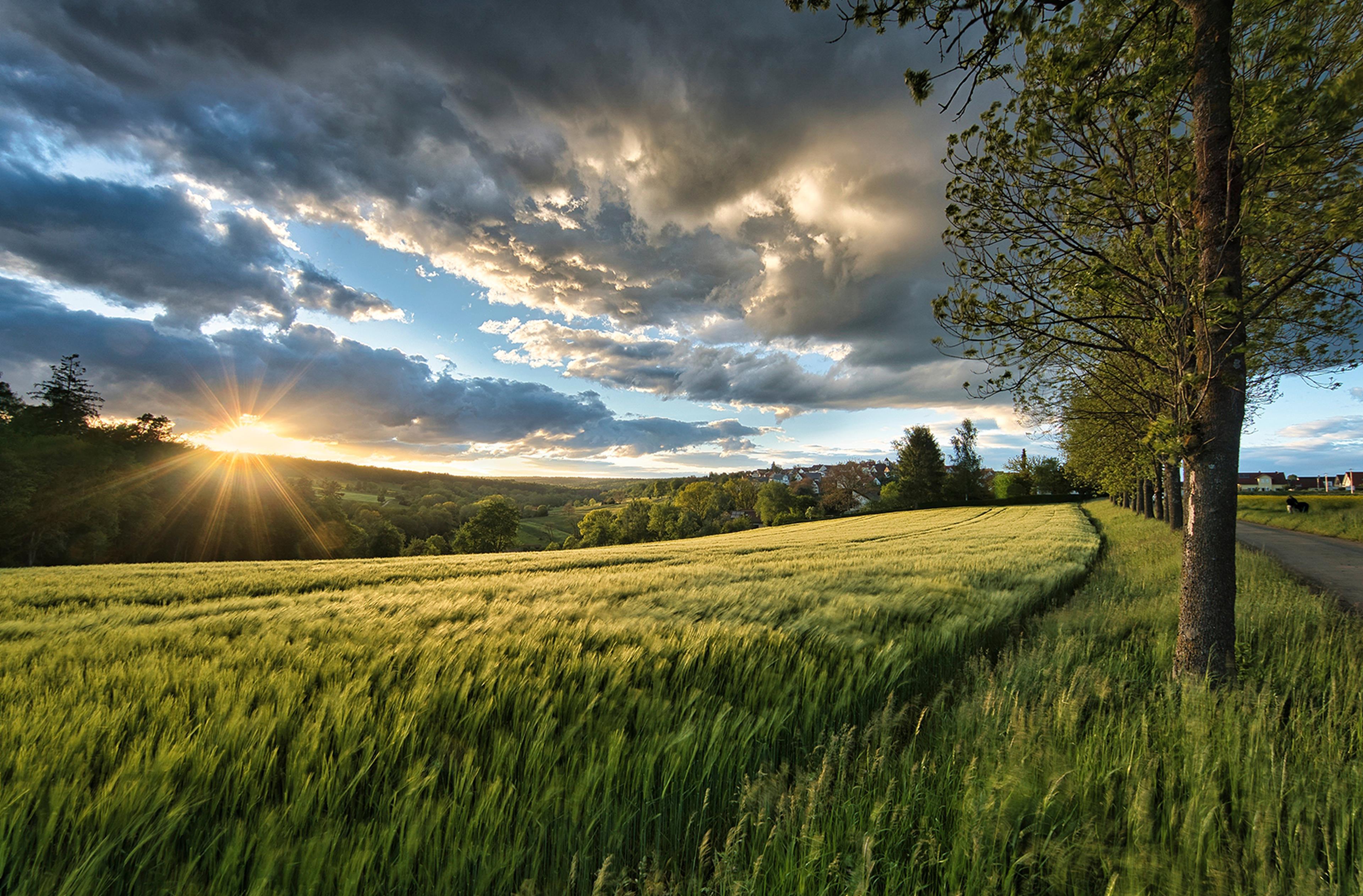 Copertina Frasi sull'agricoltura