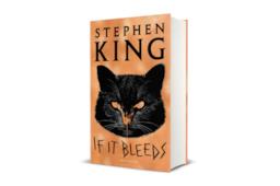 Lo scrittore Stephen King
