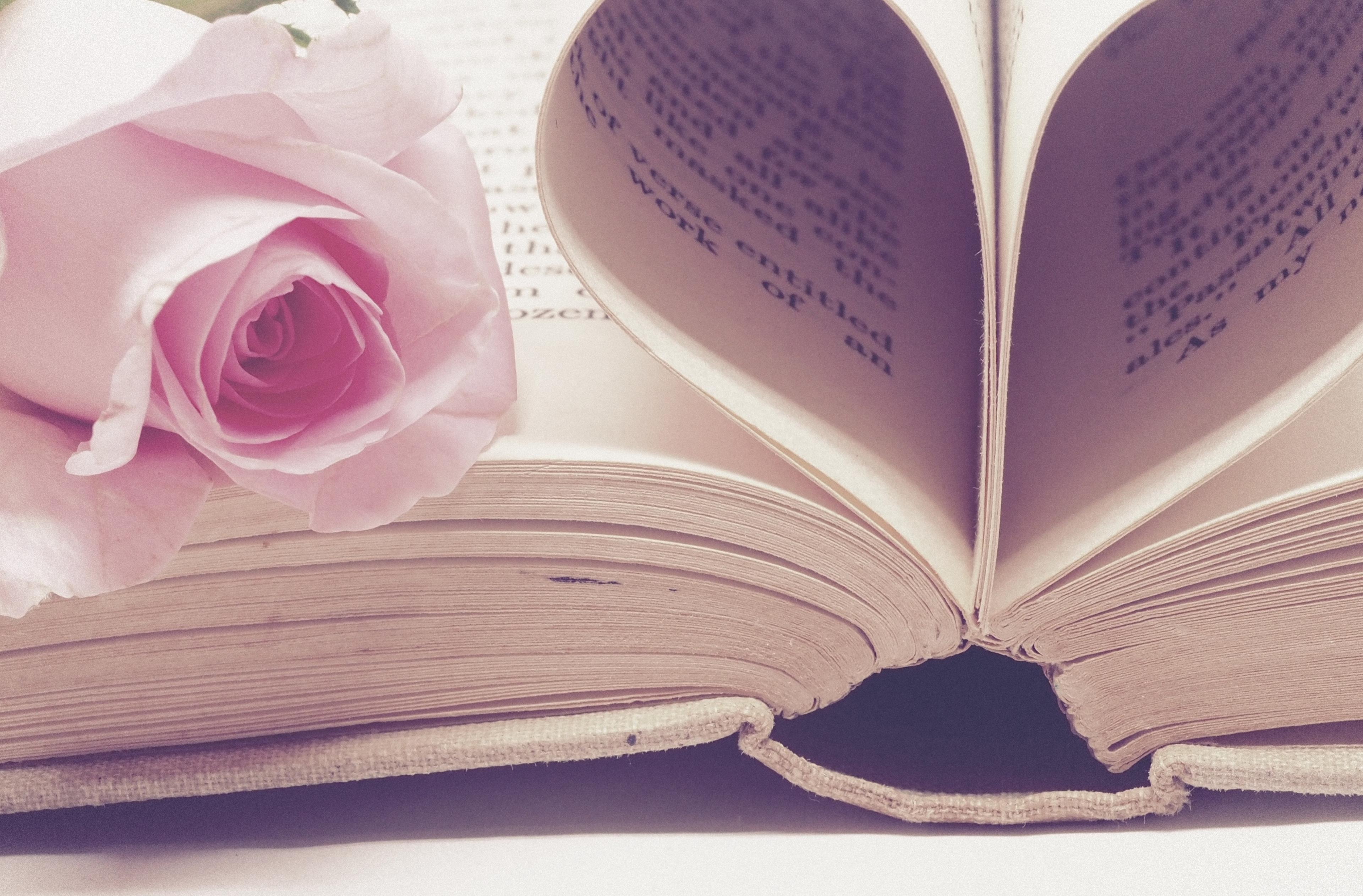 Libro aperto con una rosa sopra