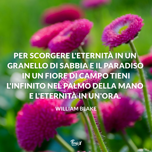 45 Bellissime Frasi Sui Fiori 2223