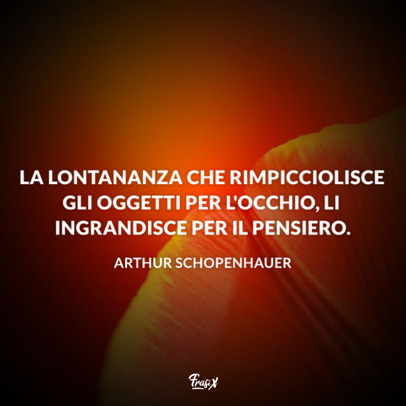 Immagine con citazione schopenhauer per frasi da videochiamata