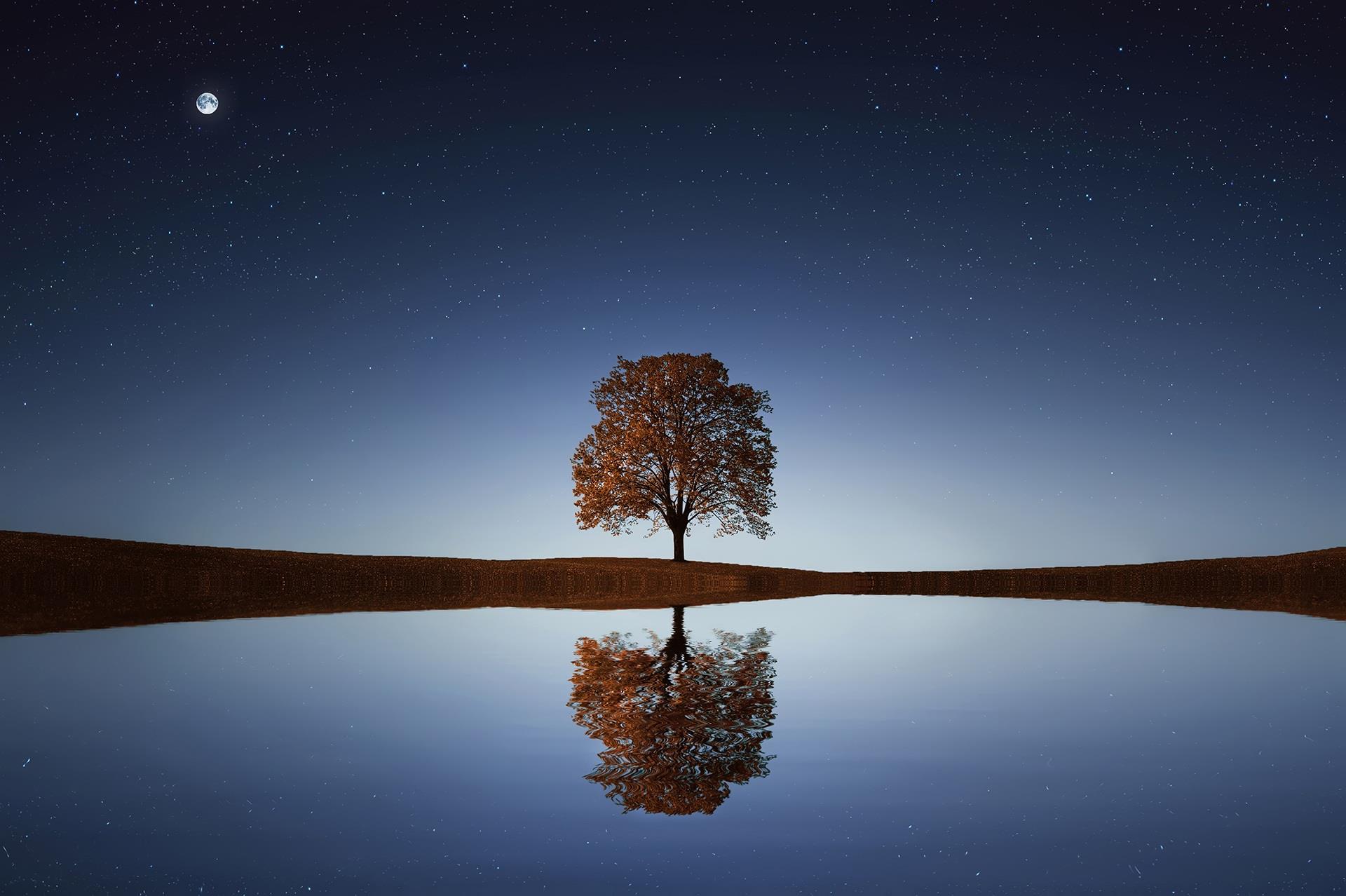 Paesaggio lacustre illuminato dalla luna