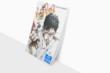 La copertina del primo volume del manga Ping Pong