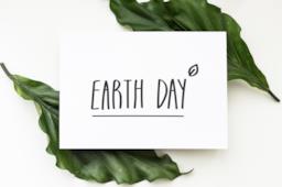 Earth Day, giornata della Terra: i migliori documentari sull'ambiente