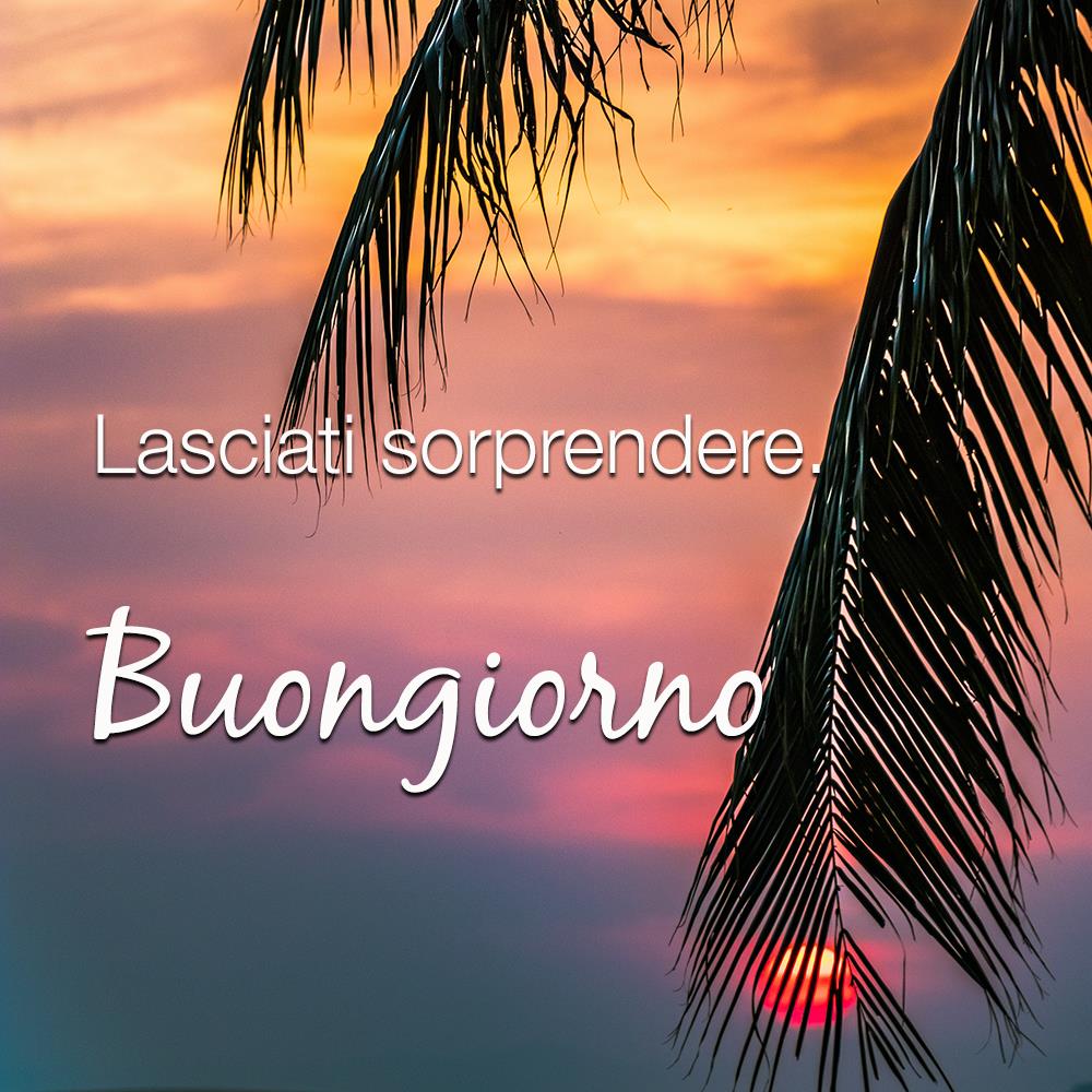 Immagini belle buongiorno