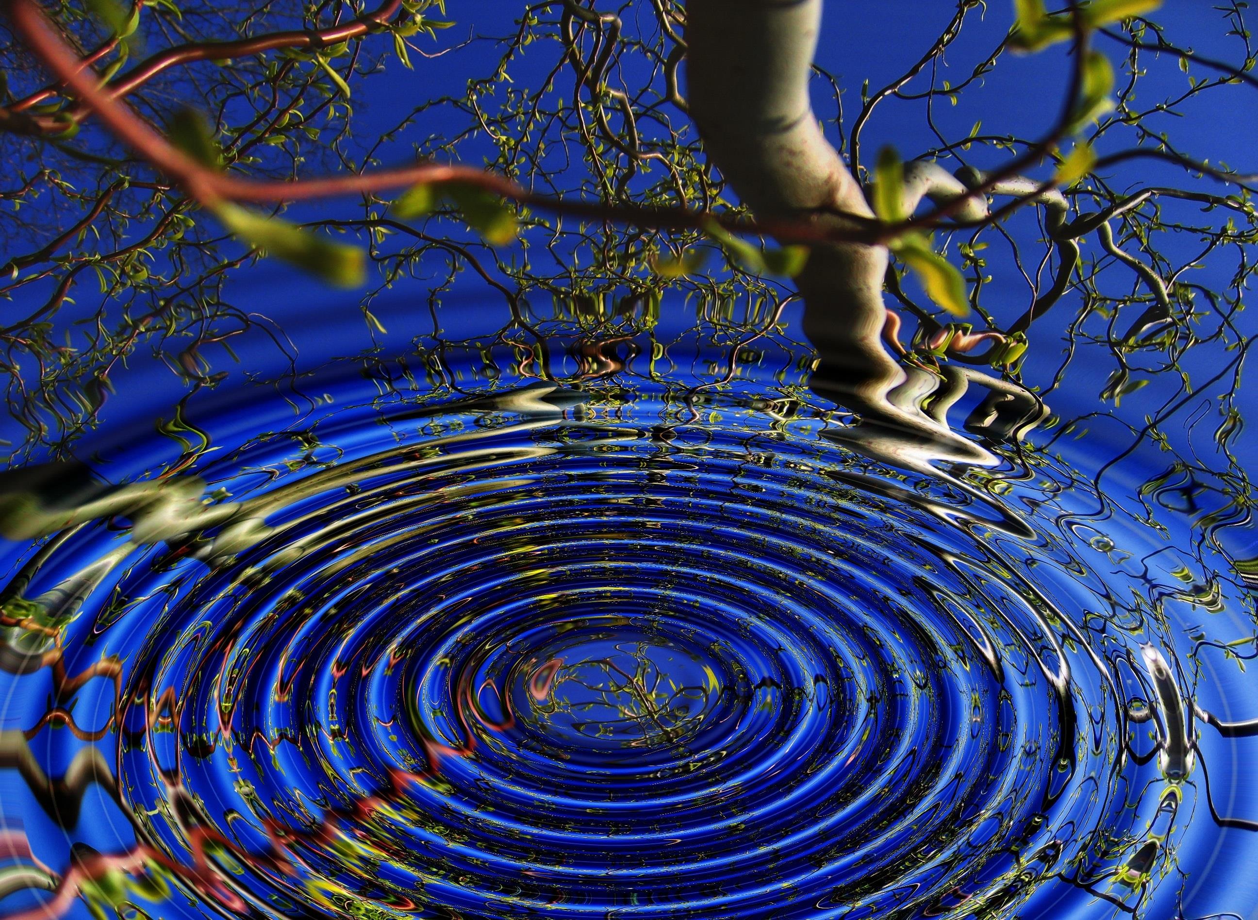 Cerchi in uno specchio d'acqua