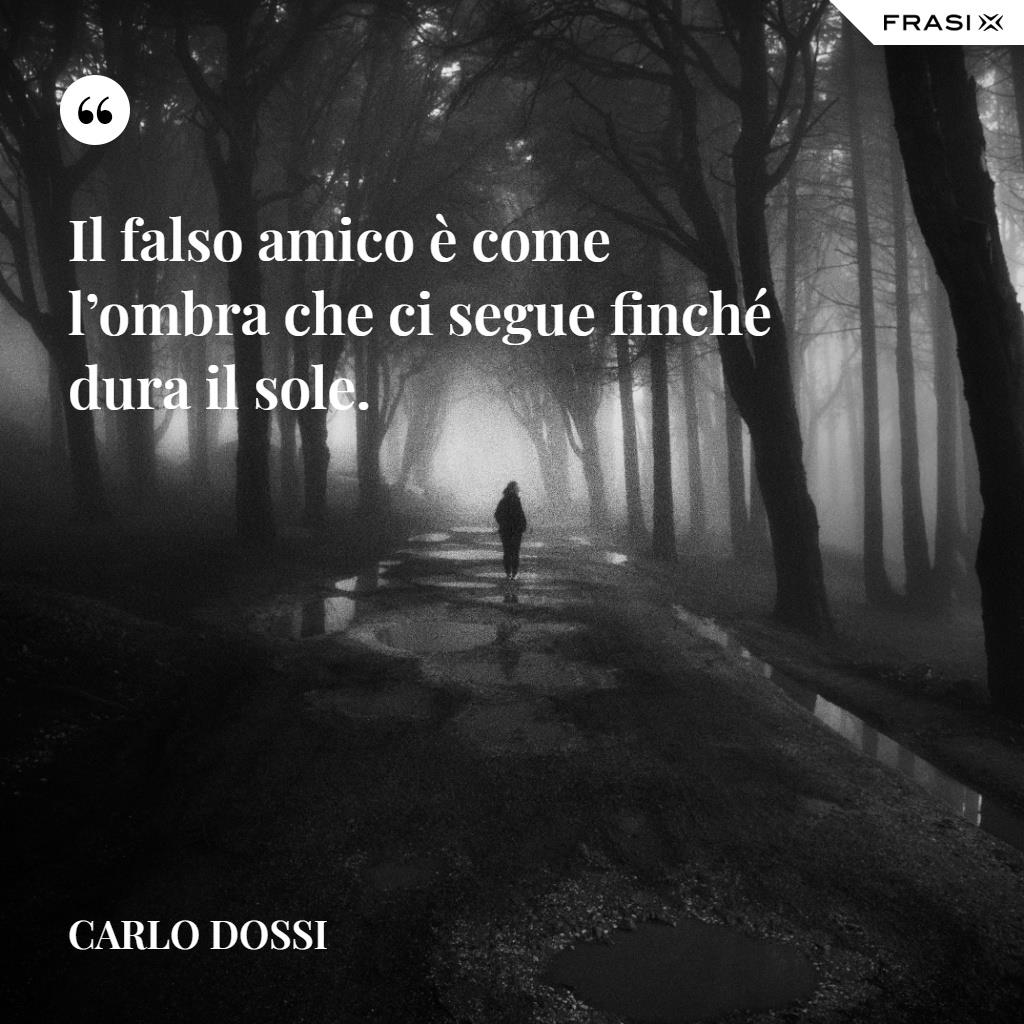 Frasi delusione il falso amico è come l’ombra che ci segue finché dura il sole.