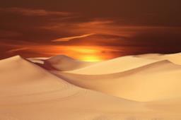 Dune nel deserto al tramonto 