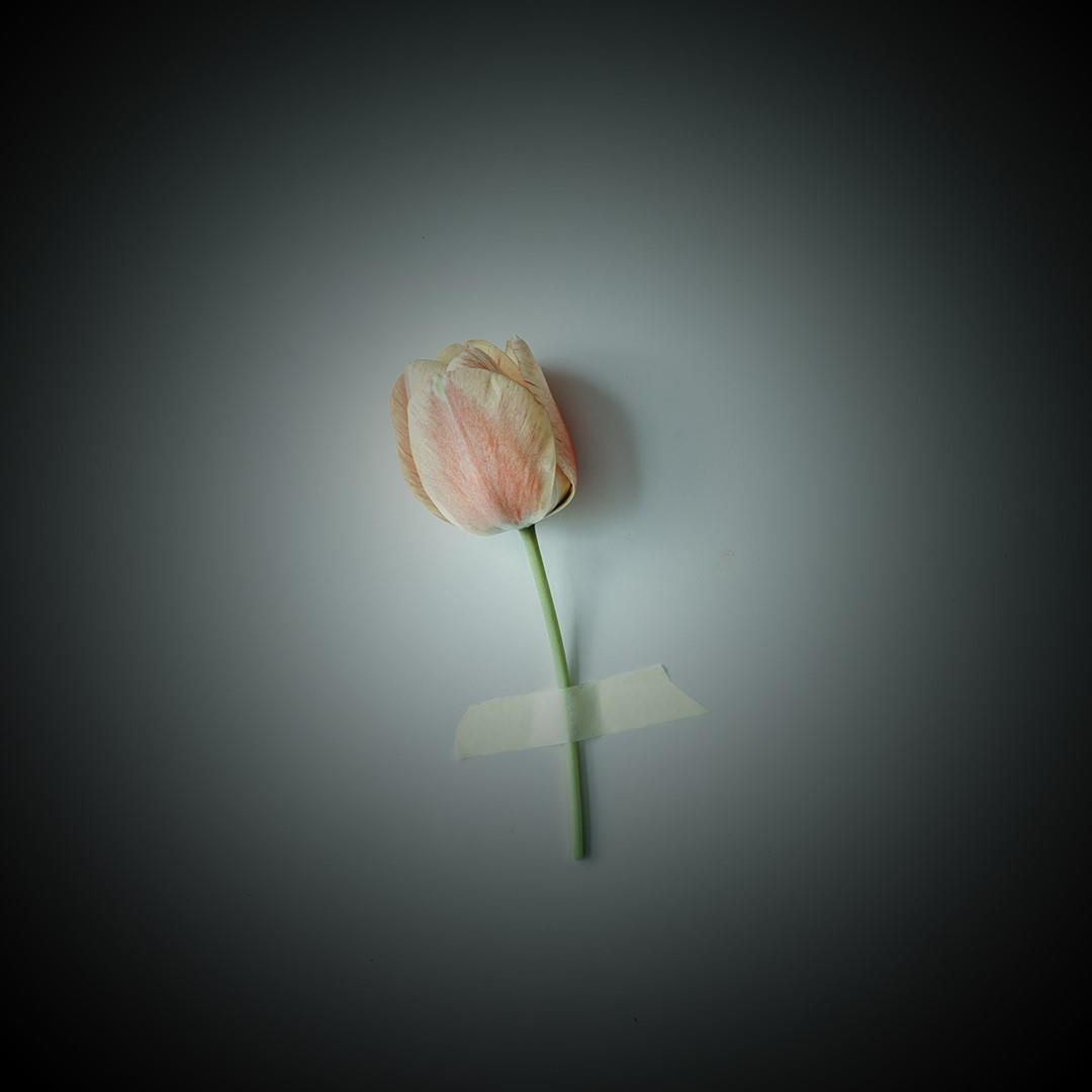 Frasi sulle zie le più belle, vere e divertenti da dedicare Frasi sulle zie le più belle, vere e divertenti da dedicare