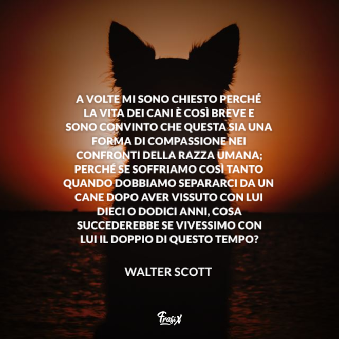 Frasi di Addio 30+ citazioni belle ed emozionanti Frasi di Addio 30+ citazioni belle ed emozionanti