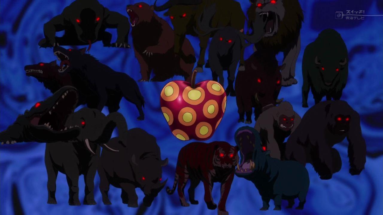 One Piece Zoo Zoo
