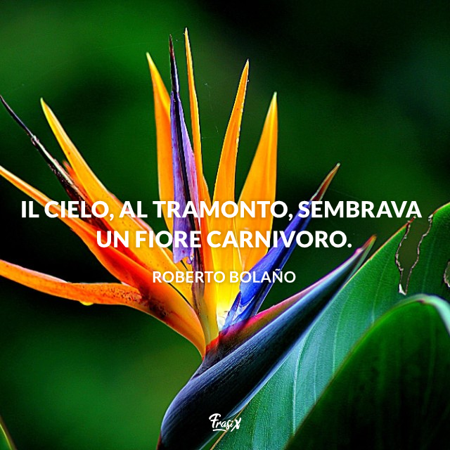 45 BELLISSIME Frasi sui fiori 45 BELLISSIME Frasi sui fiori