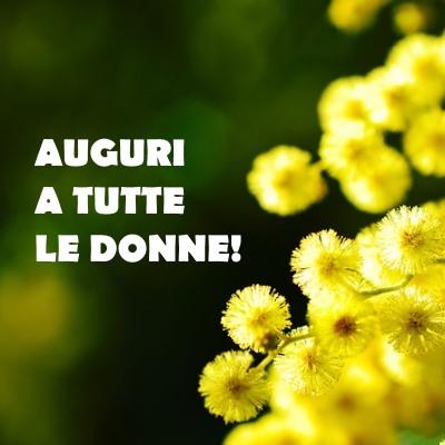Un ramo di mimosa -  Immagini di auguri per la Festa della Donna