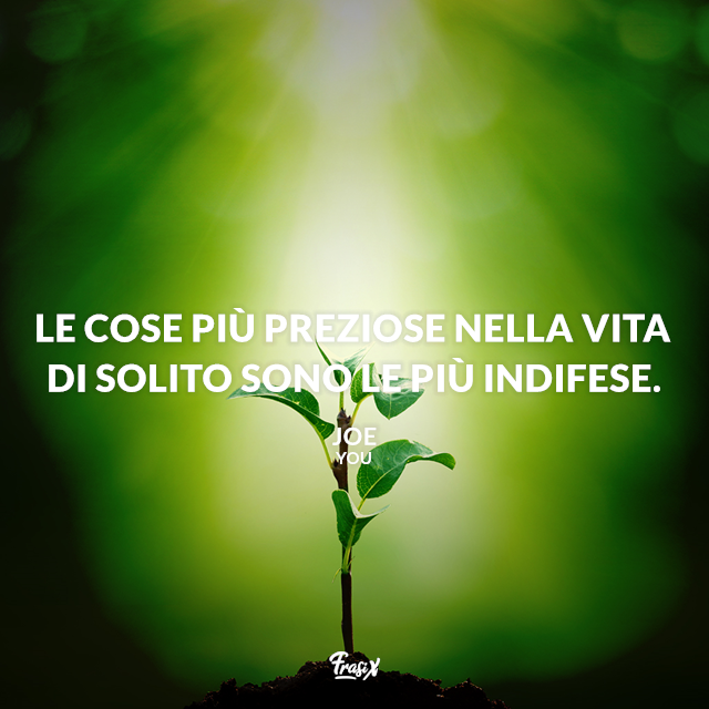 Le cose più preziose nella vita di solito sono le più indifese. 