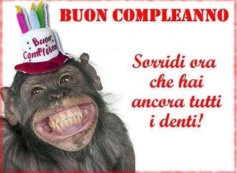 Una scimmia che ride - Immagini di buon compleanno, le più simpatiche da scaricare gratis