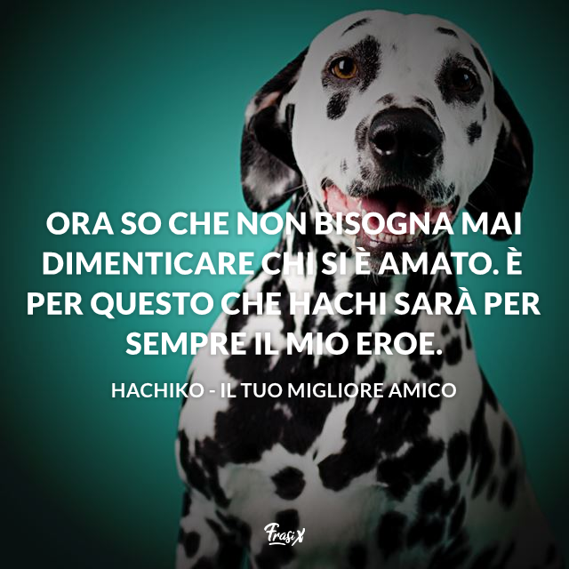 Ora so che non bisogna mai dimenticare chi si è amato. È per questo che Hachi sarà per sempre il mio eroe. 