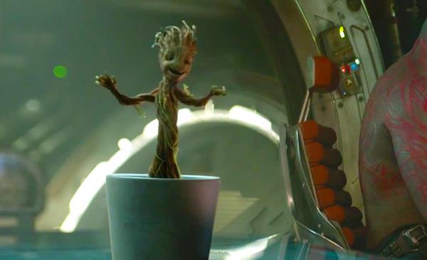 Groot piantato dentro un vaso