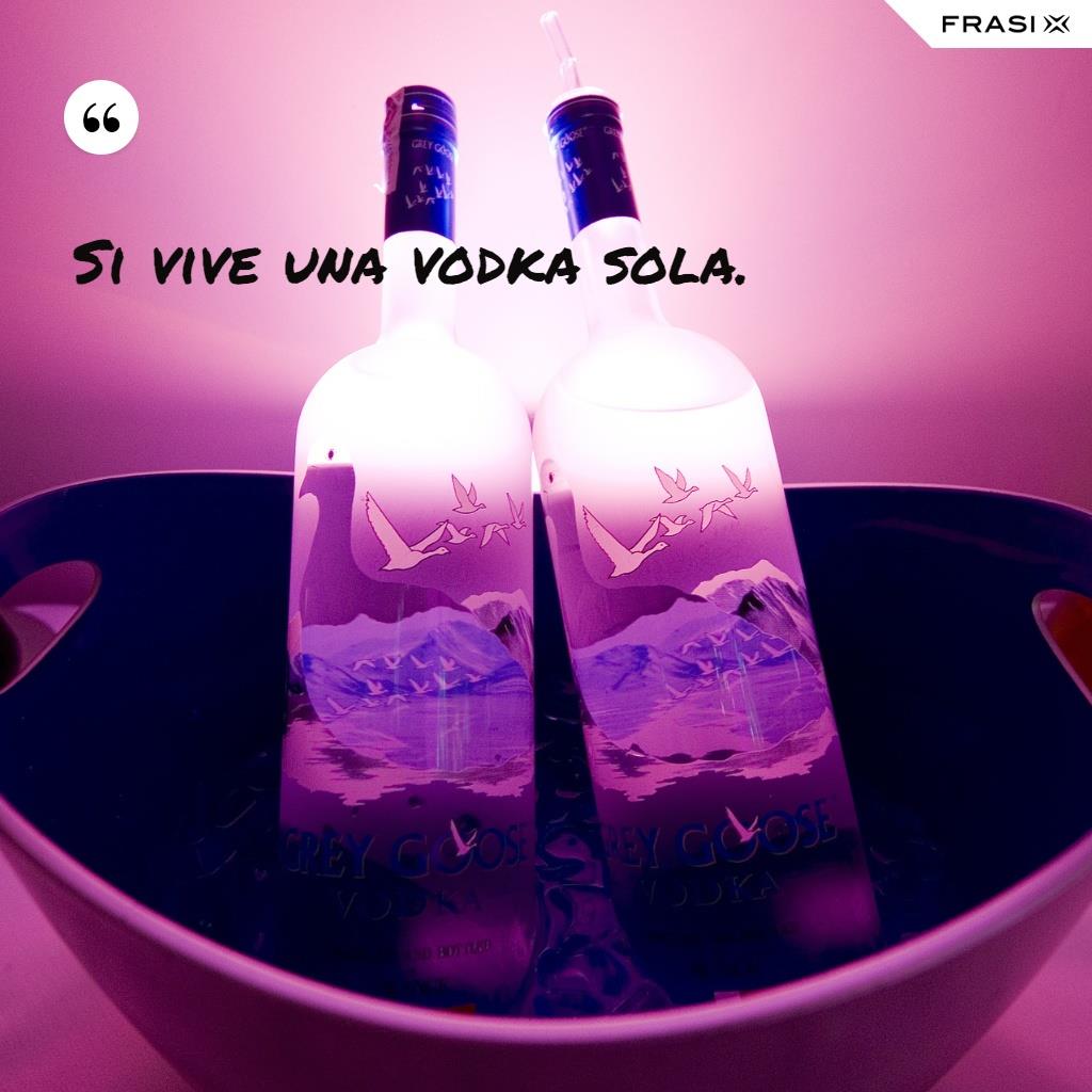 Si vive una vodka sola.