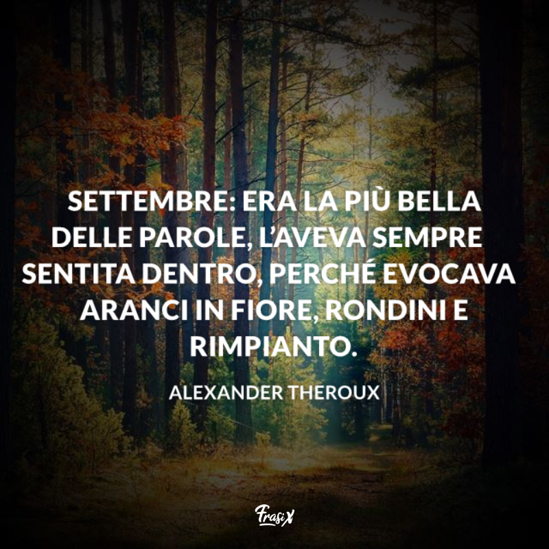 Foresta con i colori dell'autunno