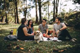 Gruppo di amici insieme per un picnic