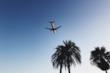Aereo per Ibiza