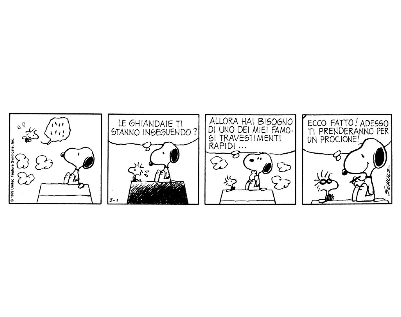 Una vignetta dei Peanuts