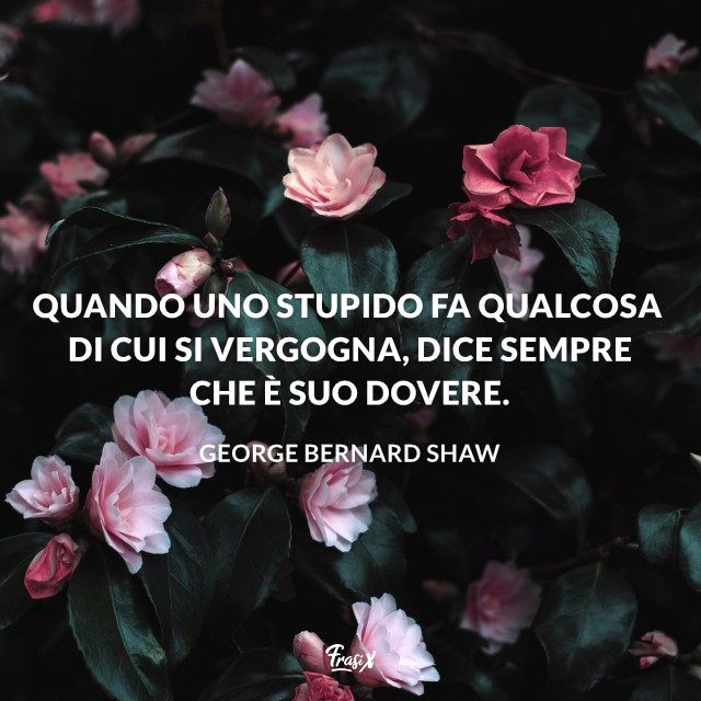 Quando uno stupido fa qualcosa di cui si vergogna, dice sempre che è suo dovere. 