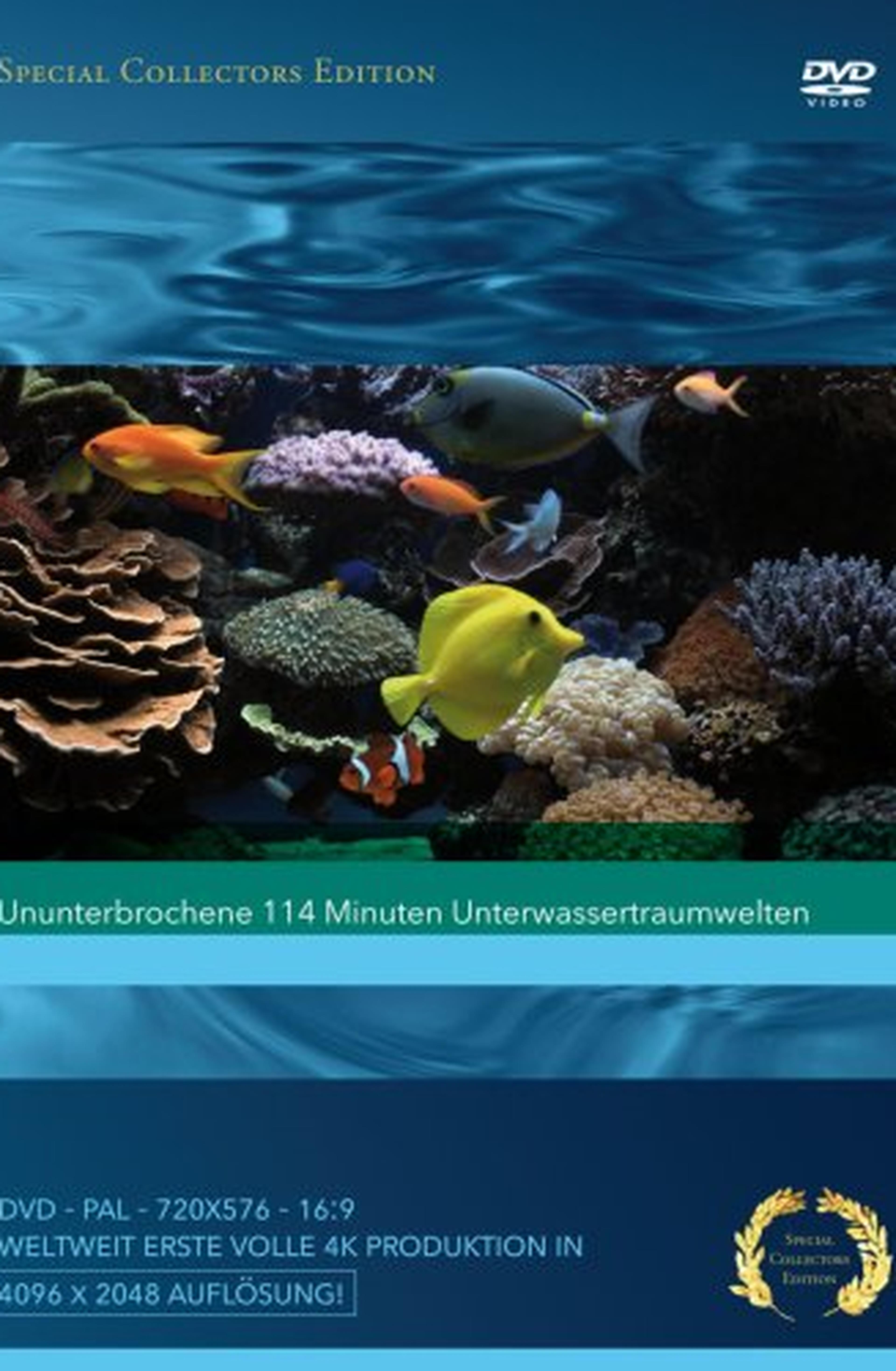 Marine Aquarium