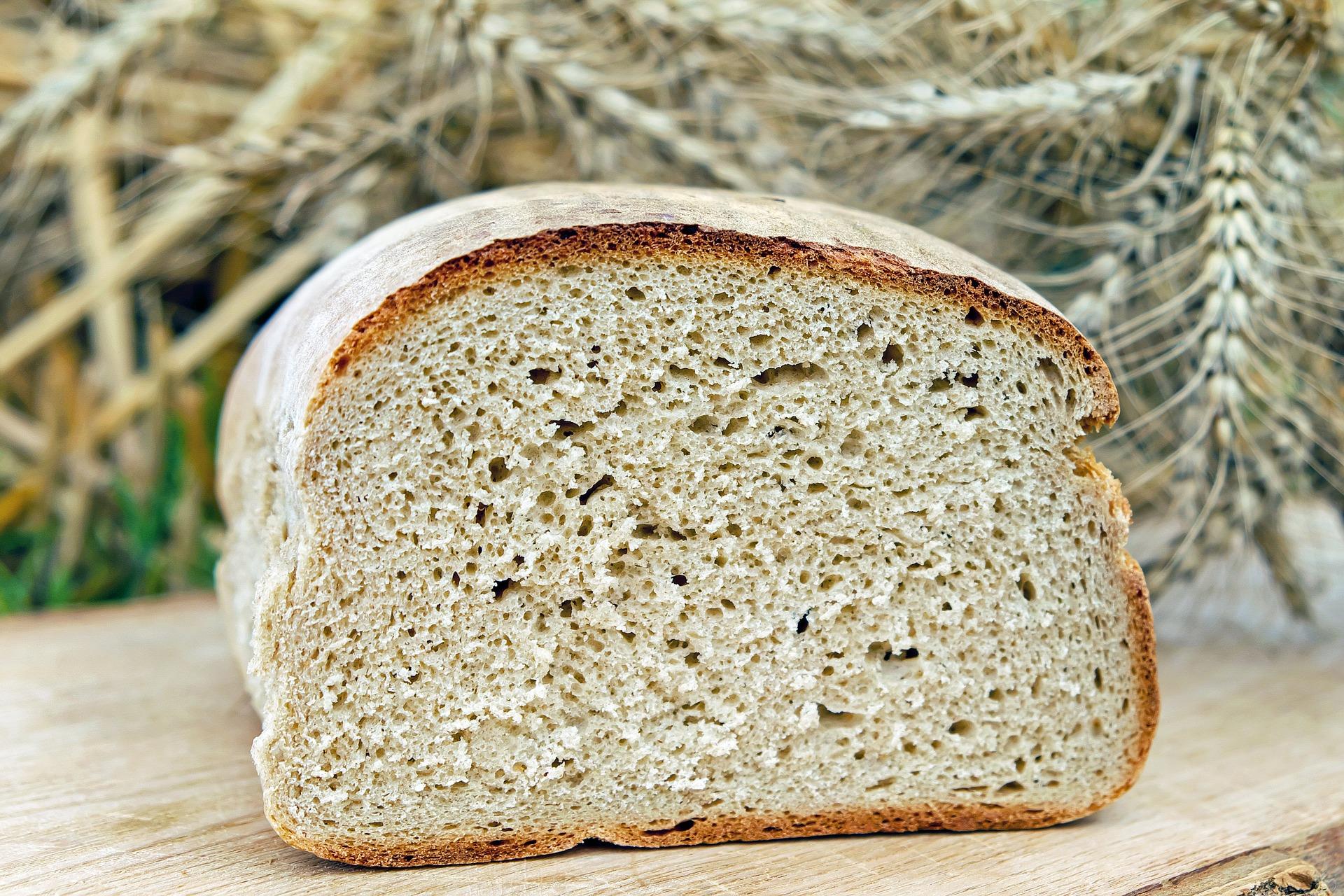 Pezzo di pane per Dieta Dukan