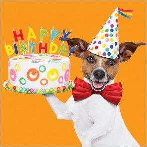 Un cagnolino con una torta - Immagini di buon compleanno, le più simpatiche da scaricare gratis