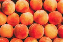 Frutta di stagione di giugno: le proprietà benefiche di pesche, susine e albicocche