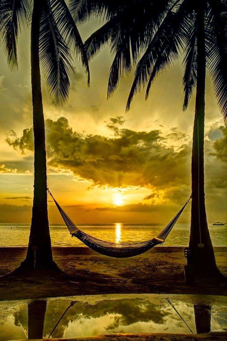 Una amaca al tramonto in spiaggia - Sfondi per PC, iPhone, Android e profilo WhatsApp da scaricare
