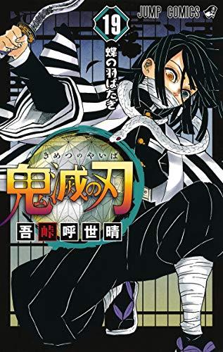 Demon Slayer: Kimetsu no Yaiba 19