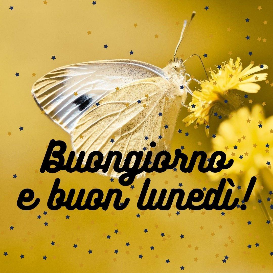 Buongiorno e Buon Lunedì!