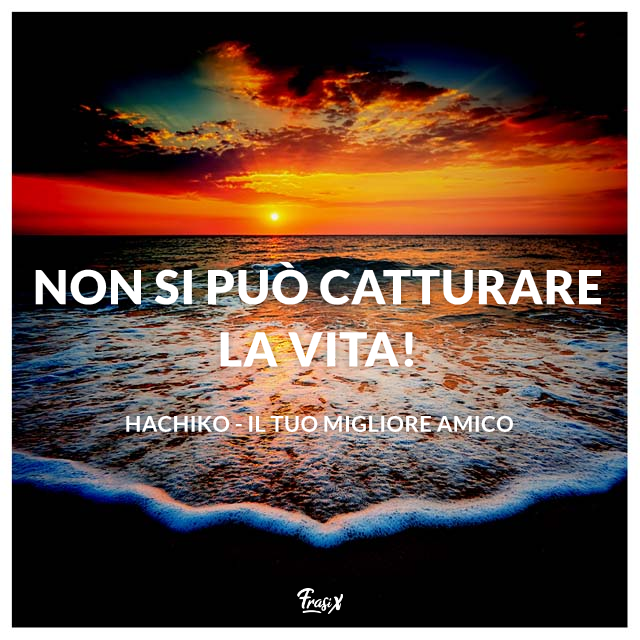 Non si può catturare la vita!