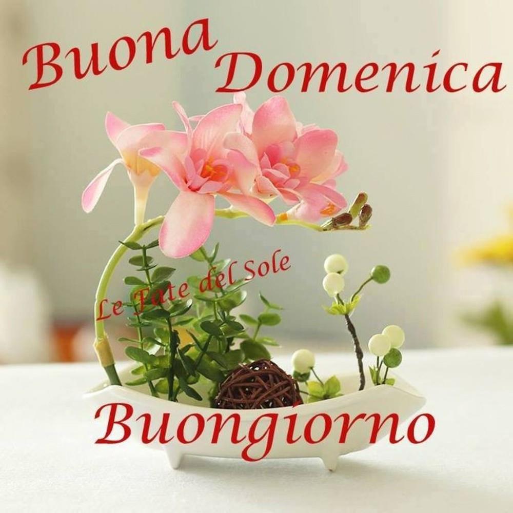 immagini belle buona domenica