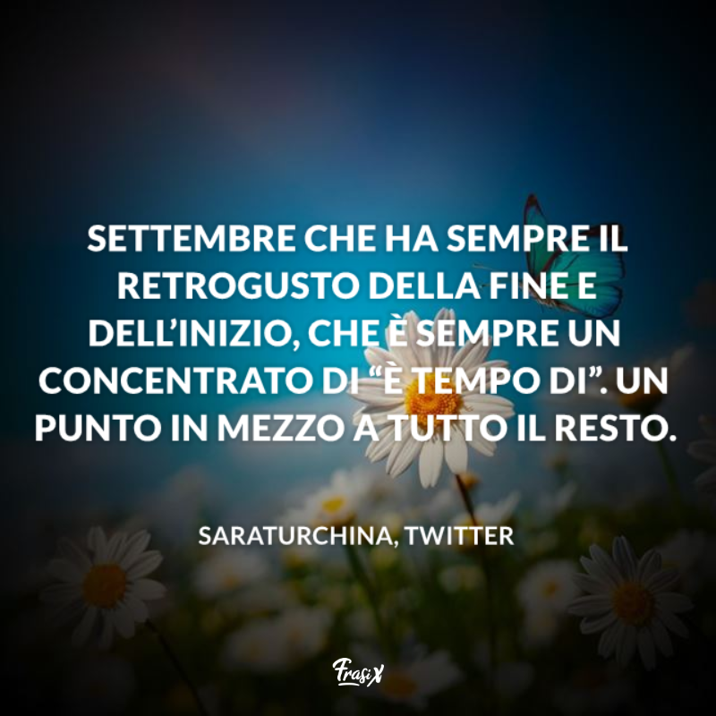Margherite con una farfalla tra i petali