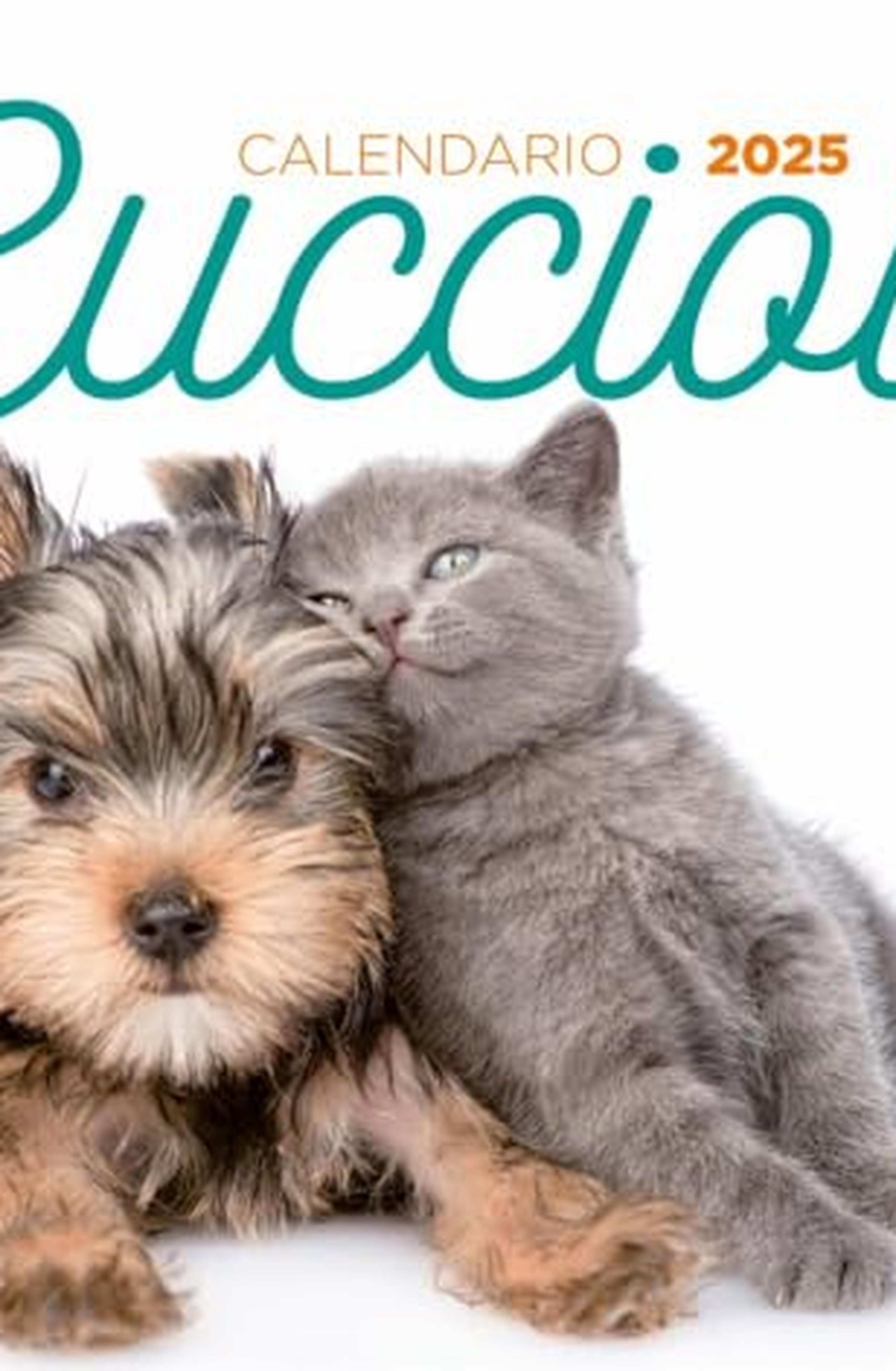 Cuccioli. Calendario 2025 da tavolo (17 x 16 cm)