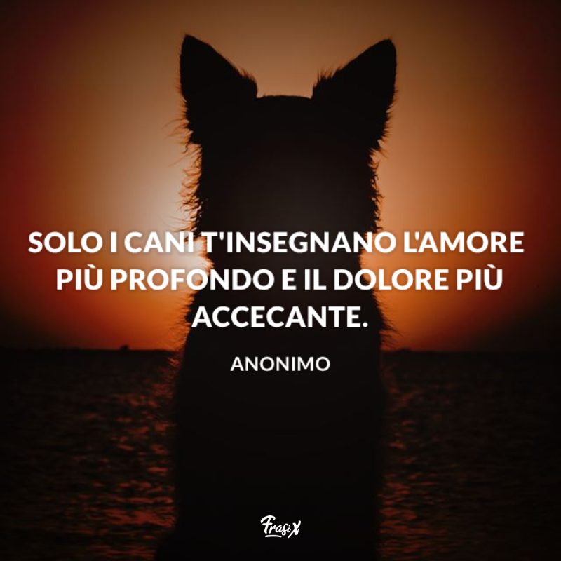 Immagine con frase tenera sul cane: solo i cani t'insegnano l'amore più profondo e il dolore più accecante