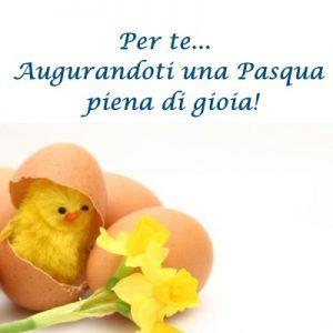 Un pulcino che esce dall'uovo - Immagini per auguri di Buona Pasqua