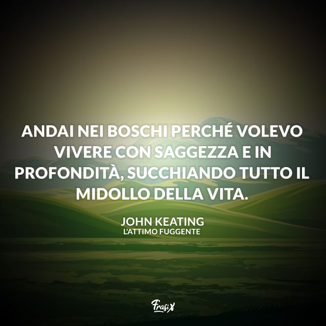 Andai Nei Boschi Per Vivere Con Saggezza