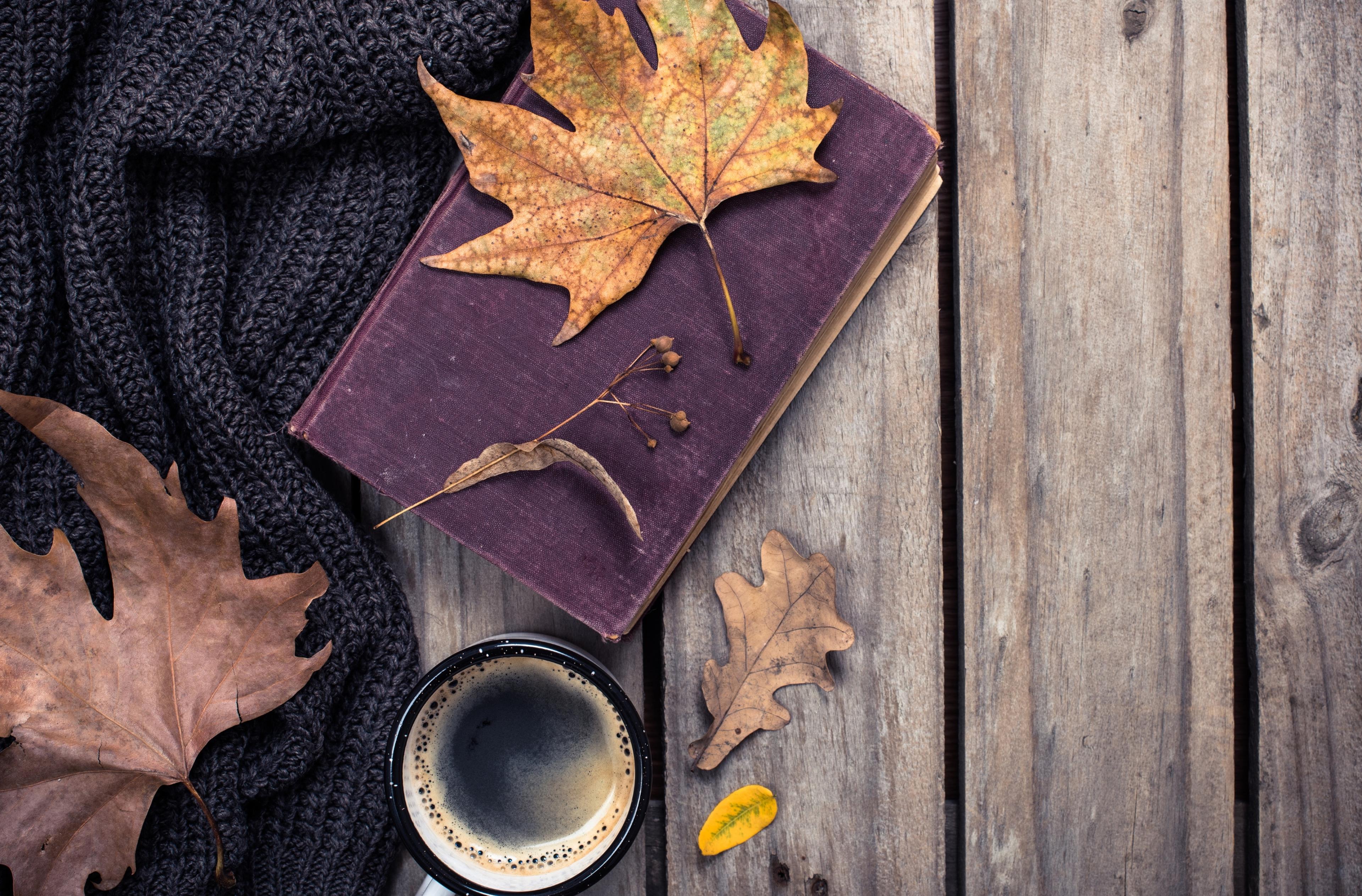Libro con tazza di caffè e foglie adagiate sopra