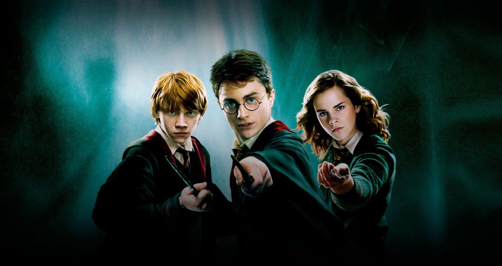 Harry Potter e i suoi amici