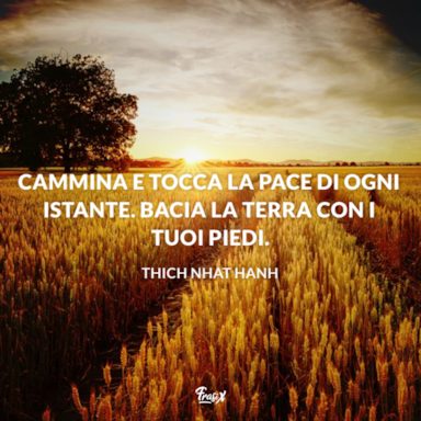 Frasi sulla pace interiore le 30 più belle e profonde