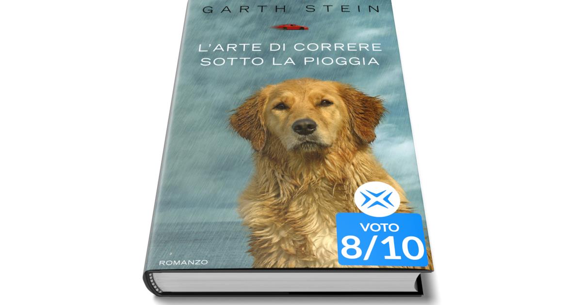La recensione del romanzo di Garth Stein L'arte di correre sotto la pioggia