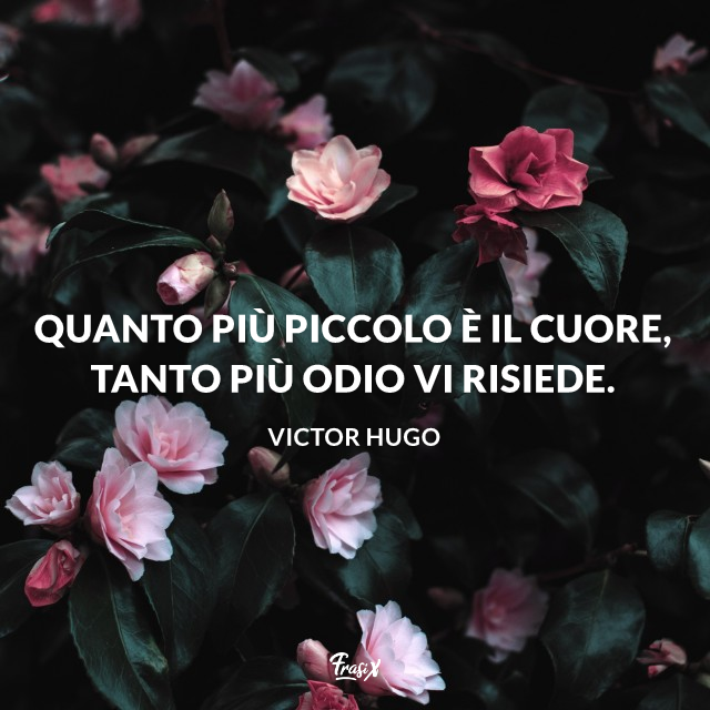 Quanto più piccolo è il cuore, tanto più odio vi risiede. 