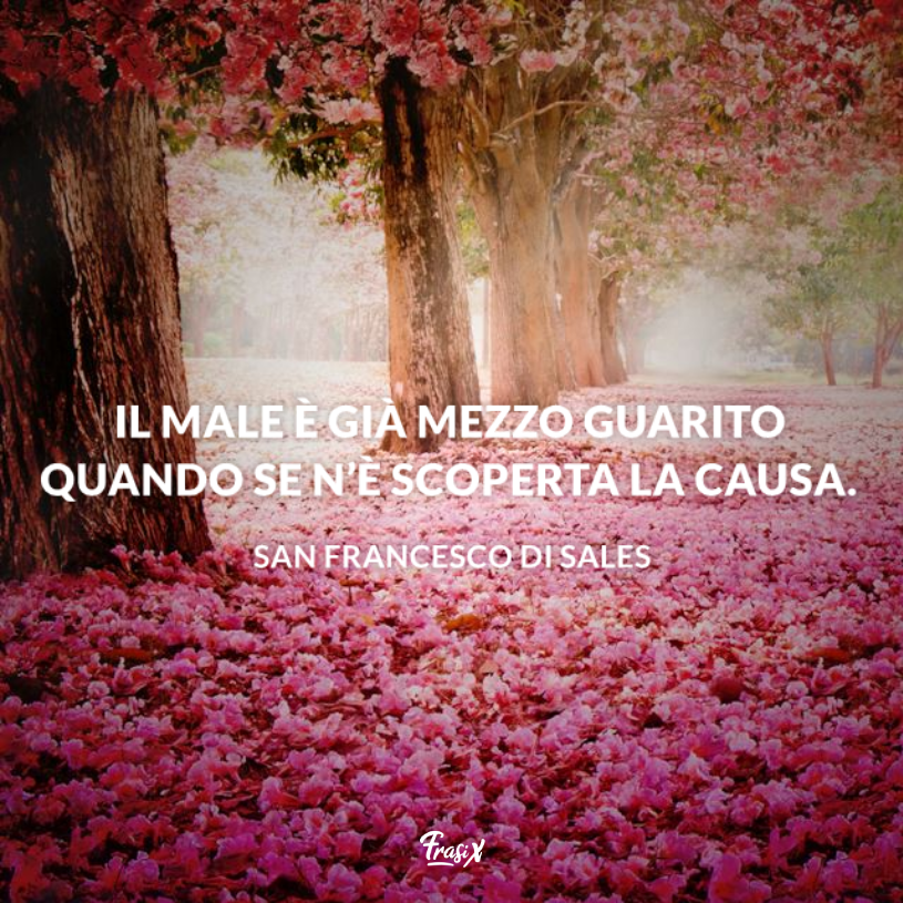 Immagine con citazione sales per frasi di buona guarigione ad un amico